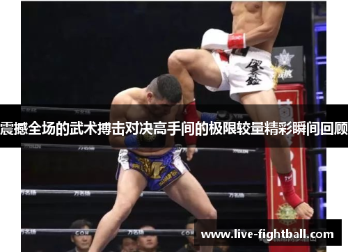 震撼全场的武术搏击对决高手间的极限较量精彩瞬间回顾